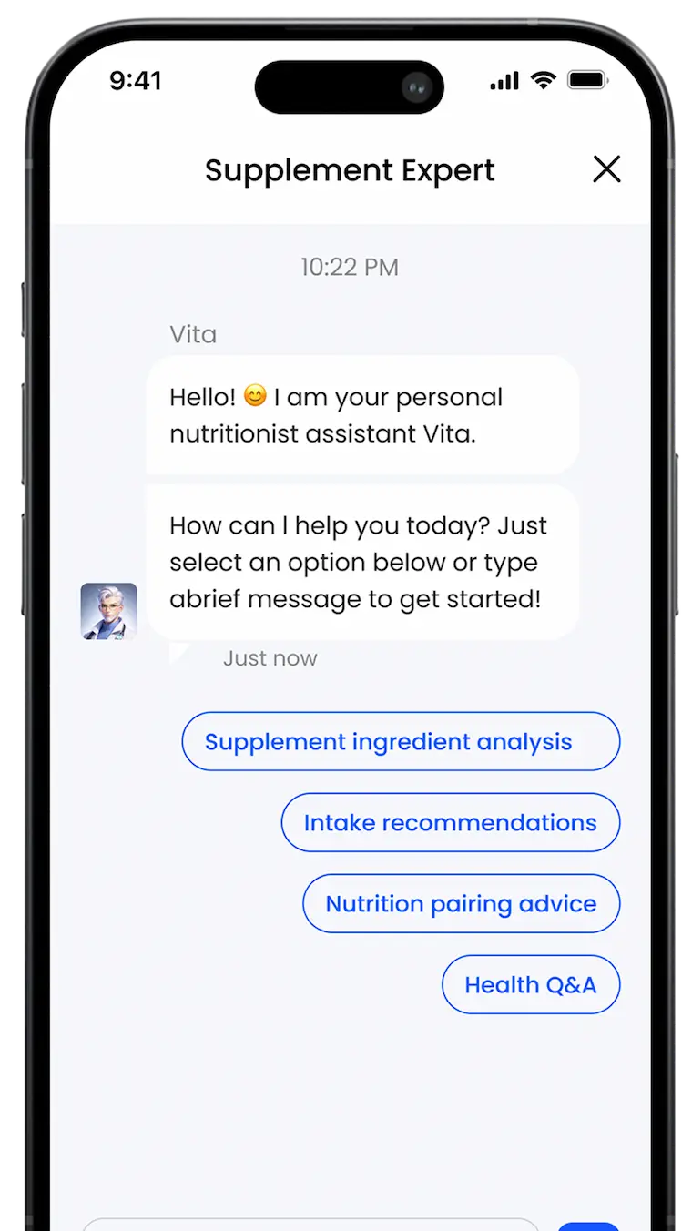 AI Expert Interface